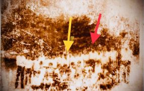 PHOTO-2025-06-15-22-36-233