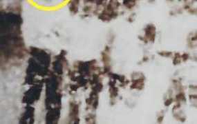 PHOTO-2021-07-07-19-00-19